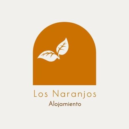 Alojamiento Los Naranjos Piscina Y Parking Gratuito Jaén Kültér fotó